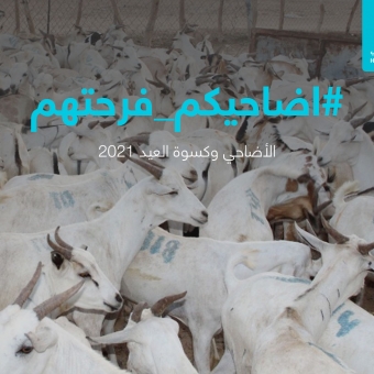 تحت شعار "أضاحيكم فرحتهم".. الوصول الإنساني تطلق حملة الأضاحي للعام 1442هـ |2021م