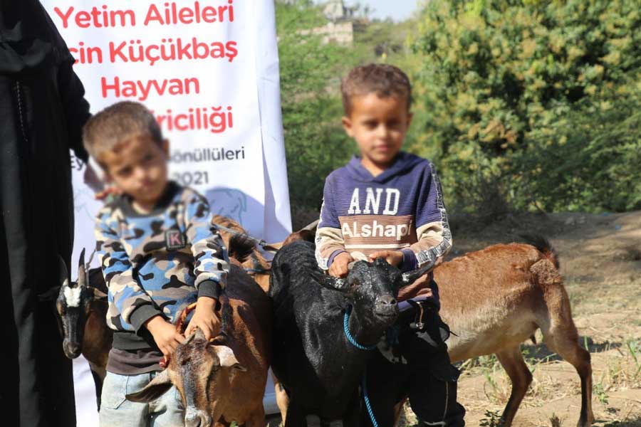 بالشراكة مع منظمة وقف الأيتام.. مشاريع مدرة للدخل.. تغير حياة الناس إلى الأفضل 