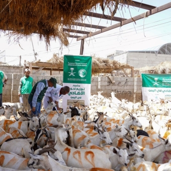 فريق مركز الملك سلمان للإغاثة يطلع على جاهزية مشروع لحوم الأضاحي 1447 بعدن