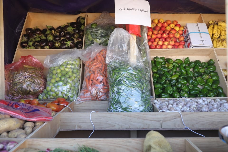 Empowering women economically and expanding the cycle of production in Marib