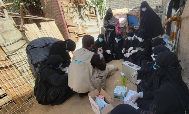 animal health and nutrition