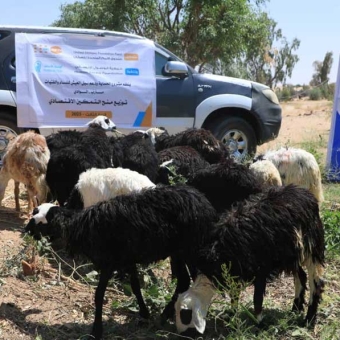 Livestock breeding trainees receive economic empowerment grants