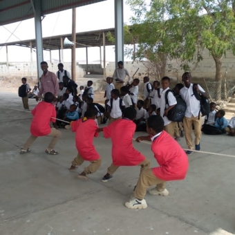 Systematic scientific competitions, sports and entertainment activities