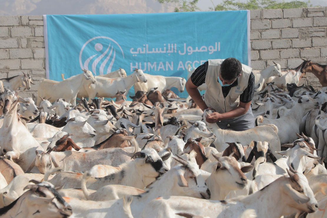 Intensive preparations to implement the sacrificial meat distribution project