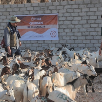 Delivery of toys and meat for over 24 thousand people in Hadhramaut