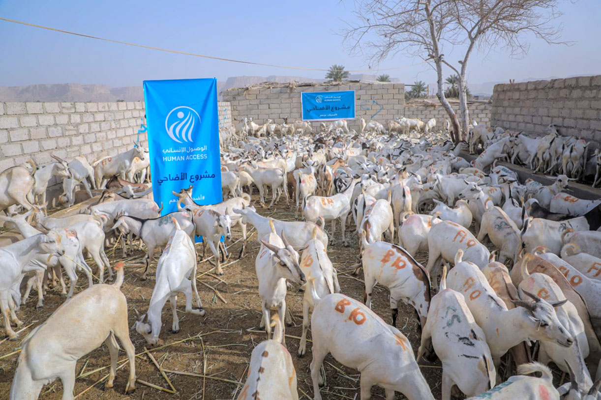 Preparations underway for implementation of sacrificial animal project